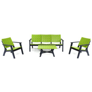 salon de jardin vert-noir