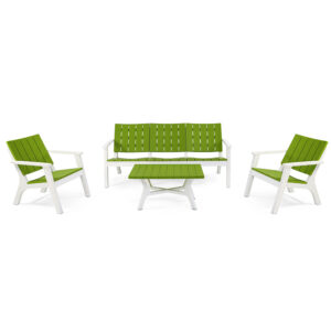 salon de jardin vert_blanc