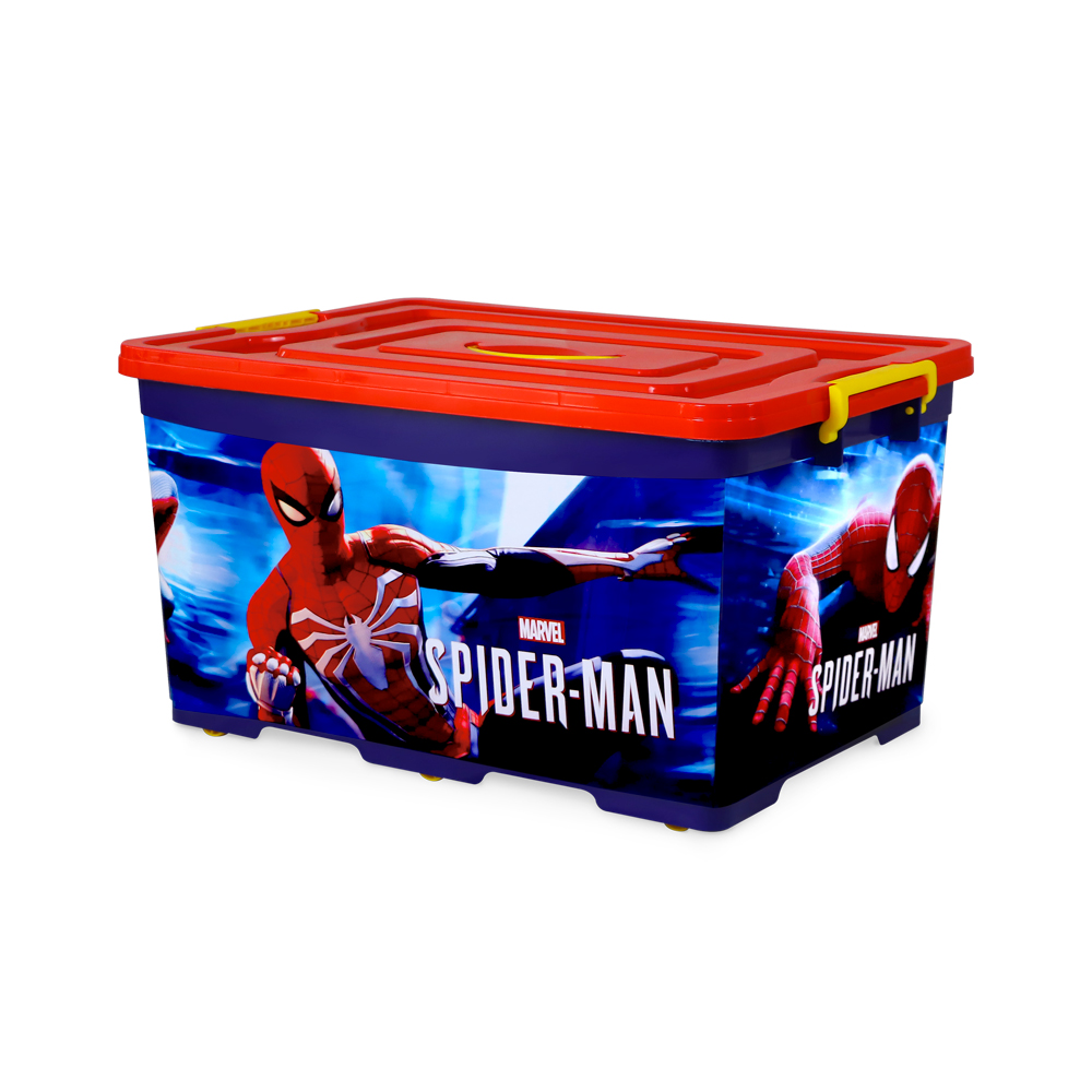 SPIDER MAN