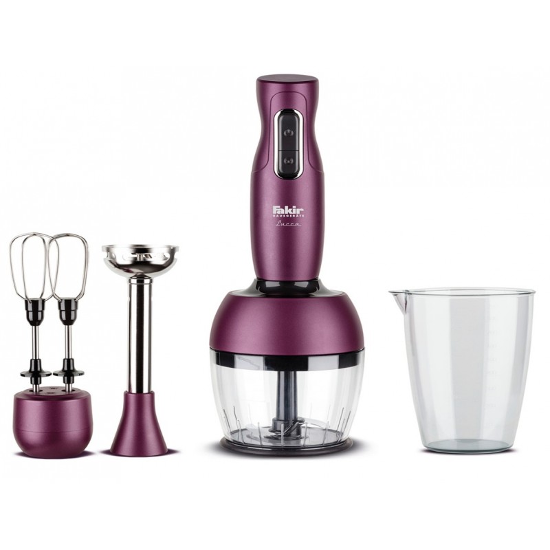 mixeur plongeant fakir violet