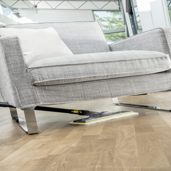 Nettoyeur vapeur Karcher SC2 EasyFix