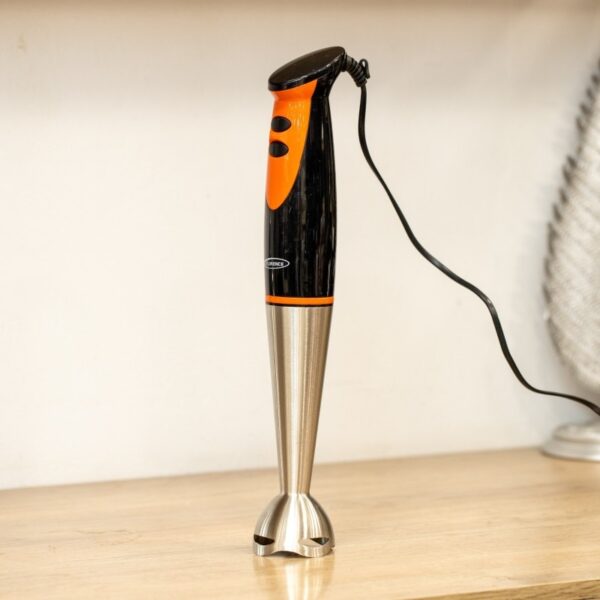 Mixeur Plongeant 300W FLORENCE