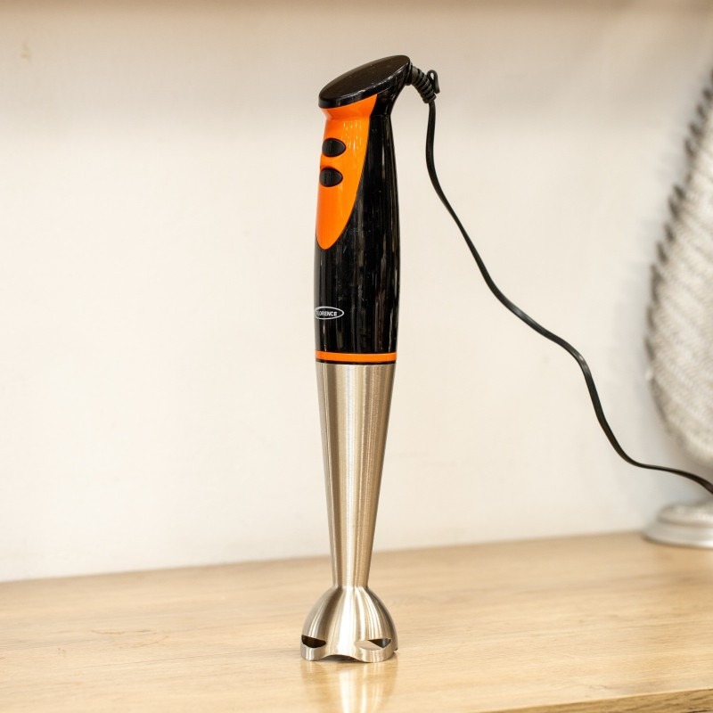 Mixeur Plongeant 300W FLORENCE